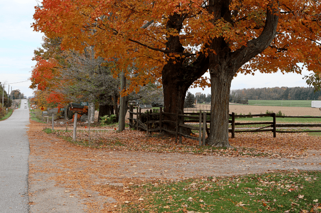 Cover image of King Township